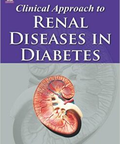 Clinical Approach to Renal Diseases in Diabetes 1st Edition