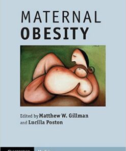 Maternal Obesity 1st Edition