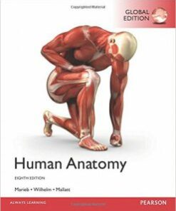 Human Anatomy, 8th Global Edition PDF