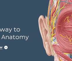 KenHub Anatomy and Histology 2018 (Videos)