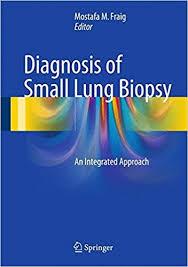 Diagnosis of Small Lung Biopsy: An Integrated Approach PDF