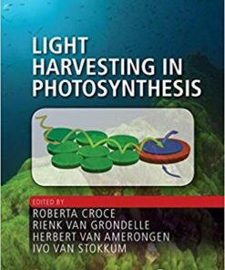 Light Harvesting in Photosynthesis (Foundations of Biochemistry and Biophysics) 1st Edition