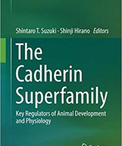 The Cadherin Superfamily: Key Regulators of Animal Development and Physiology