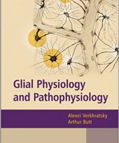 Glial Physiology and Pathophysiology