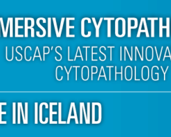 USCAP Immersive Cytopathology Experience ICE in Iceland 2019 (CME VIDEOS)