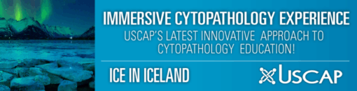 USCAP Immersive Cytopathology Experience ICE in Iceland 2019 (CME VIDEOS)