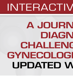 A Journey Through Diagnostically Challenging Areas in Gynecologic Pathology: Updated with New Cases