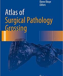Atlas of Surgical Pathology Grossing (Atlas of Anatomic Pathology) 1st ed. 2019 Edition PDF