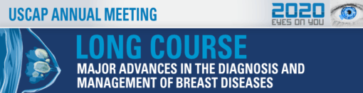 2020 Annual Meeting Long Course - Major Advances in the Diagnosis and Management of Breast Diseases