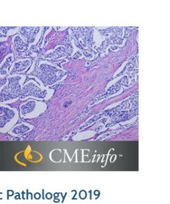 Masters of Pathology : Pancreatic Pathology 2019