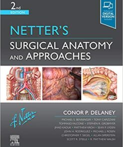 Netter's Surgical Anatomy and Approaches 2nd Edition PDF