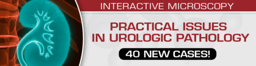 Practical Issues in Urologic Pathology - 40 New Cases 2021