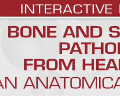 USCAP Bone and Soft Tissue Pathology from Head to Toe: An Anatomical Approach 2022 CME VIDEOS