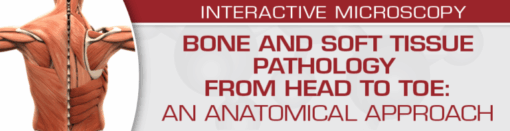 USCAP Bone and Soft Tissue Pathology from Head to Toe: An Anatomical Approach 2022 CME VIDEOS