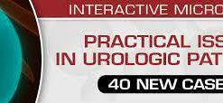 Practical Issues in Urologic Pathology – 40 New Cases! 2021