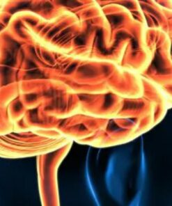 Harvard Neurological Emergencies 2021