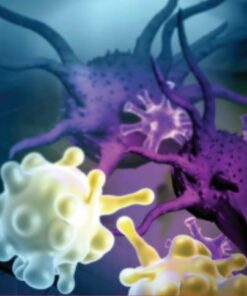 MD Anderson Hematology and Medical Oncology Board Review Materials 2021