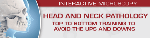 Head and Neck Pathology: Top to Bottom Training to Avoid the Ups and Downs 2022