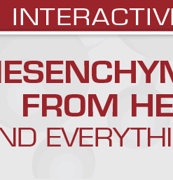 Mesenchymal Tumors: From Head to Toe (and Everything in Between) 2022