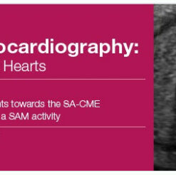 2017 Fetal Echocardiography: Normal and Abnormal Hearts - A Video CME Teaching Activity