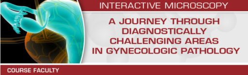 A Journey through Diagnostically Challenging Areas in Gynecologic Pathology