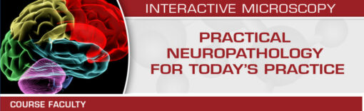 Practical Neuropathology for Today’s Practice