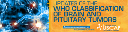 Updates of the WHO Classification of Brain and Pituitary Tumors 2019