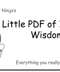 2020 Implant Ninja Little PDF of Implant Wisdom - Ivan Chicchon