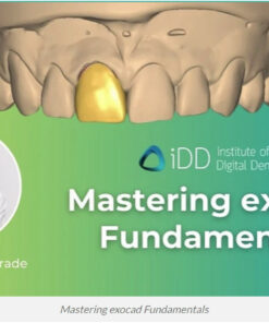 Mastering exocad Fundamentals  - iDD Mastering Exocad Bundle – Marjorie Andreade  