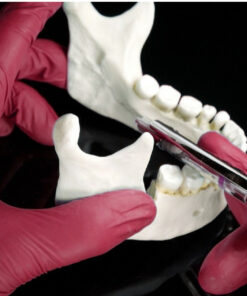 Exodontia Comprehensive Oral Surgery - Jason Hoium Module 1-13 update 2025