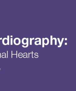 2020 Fetal Echocardiography: Normal and Abnormal Hearts