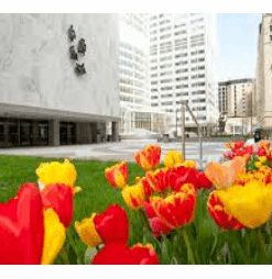 Mayo Clinic Internal Medicine Board Review 2022 (Videos + Quiz)