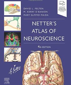 Netter. Atlas de neurociencia, 4 Edición (Original PDF from Publisher)