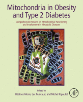 Mitochondria in Obesity and Type 2 Diabetes Comprehensive Review on Mitochondrial Functioning and Involvement in Metabolic Diseases 2019 Original pdf