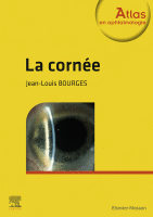 La Cornée 2020 Original pdf