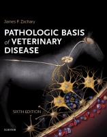 Pathologic Basis of Veterinary Disease 2017 Original pdf