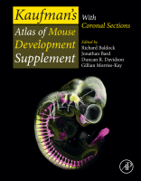 Kaufman's Atlas of Mouse Development Supplement Coronal Images 2015 Original pdf