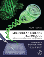 Molecular Biology Techniques A Classroom Laboratory Manual 2020 original pdf