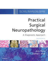 Practical Surgical Neuropathology: A Diagnostic Approach 2018 Original pdf