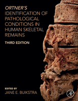 Ortner's Identification of Pathological Conditions in Human Skeletal Remains 2019 Original pdf