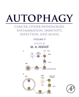 Autophagy: Cancer, Other Pathologies, Inflammation, Immunity, Infection, and Aging Volume 9: Human Diseases and Autophagosome 2016  Original pdf