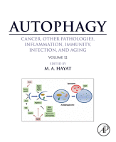 Autophagy: Cancer, Other Pathologies, Inflammation, Immunity, Infection, and Aging Volume 12 2018 Original pdf