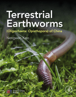 Terrestrial Earthworms (Oligochaeta: Opisthopora) of China 2019 original pdf