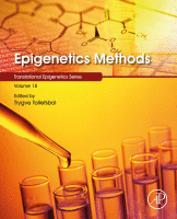 Epigenetics Methods Volume 18 in Translational Epigenetics 2020 ORIGINAL PDF