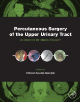 Percutaneous Surgery of the Upper Urinary Tract 2016 Original pdf