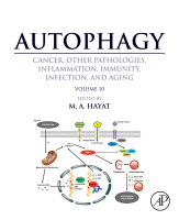 Autophagy: Cancer, Other Pathologies, Inflammation, Immunity, Infection, and Aging Volume 10 2016 original pdf