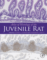 Atlas of Histology of the Juvenile Rat 2016 Original pdf