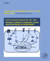 Breaking Tolerance to Pancreatic Cancer Unresponsiveness to Chemotherapy Volume 5 in Cancer Sensitizing Agents for Chemotherapy 2019 Original pdf