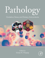 Pathology Oxidative Stress and Dietary Antioxidants 2020 Original pdf