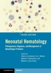 Neonatal Hematology (Pathogenesis, Diagnosis, and Management of Hematologic Problems), 3rd Edition (Original PDF)